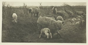 Eine Märchenpastorale (Suffolk)