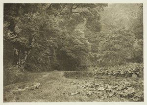 Eine ruhige Ecke in Beresford Dale von Peter Henry Emerson