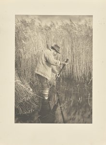 Ein Schilfschneider bei der Arbeit von Peter Henry Emerson