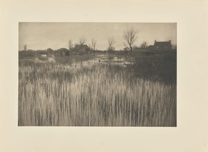 Ein schilfiges Ufer von Peter Henry Emerson