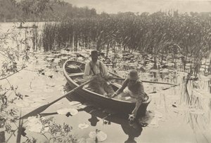 Wasserlilien sammeln von Peter Henry Emerson