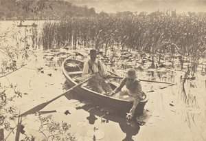 Seerosen sammeln von Peter Henry Emerson
