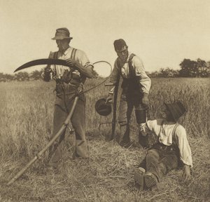 In der Gerstenernte, Suffolk