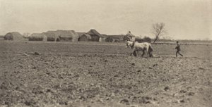 Sumpffarm im frühen Frühling