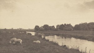 Am Fluss Bure