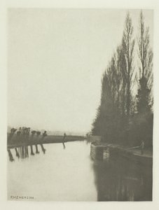 Pappeln und Kopfweiden an der Lea, nahe Broxbourne