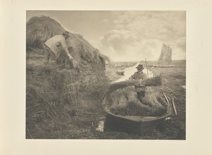 Schilfrohr ernten von Peter Henry Emerson