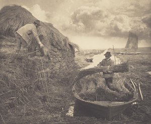 Schilfrohr ernten von Peter Henry Emerson