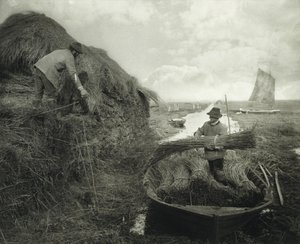 Schilf stapeln von Peter Henry Emerson