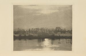 Reifkristalle von Peter Henry Emerson