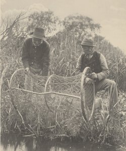 Aufstellen des Bogennetzes, 1886