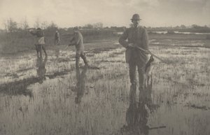 Schnepfenjagd, 1886