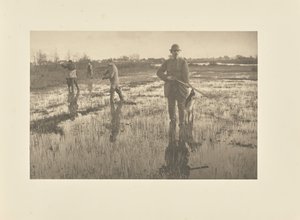Schnepfenjagd von Peter Henry Emerson