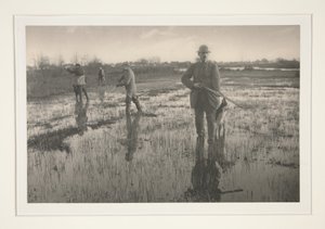 Schnepfenjagd von Peter Henry Emerson