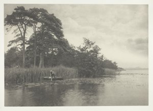 Das Versteck des Hechts von Peter Henry Emerson