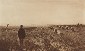 Die Marschen im Juni