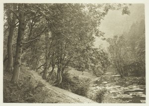 Der Pfad über den ersten Hügel, Dove Dale von Peter Henry Emerson