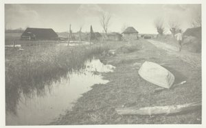 Zwischen Land und Wasser