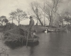 Die Rückkehr des Schwertlilien-Schneiders