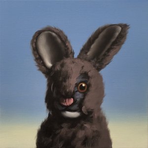 Hase