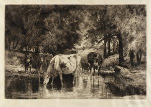 Der Pool von Peter Moran