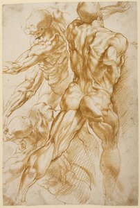 Anatomische Studien von Peter Paul Rubens