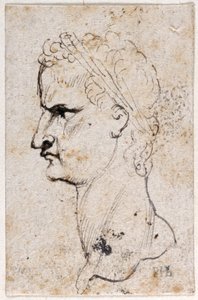Gaius Caligula, nach den Medaillen von Giovanni da Cavino