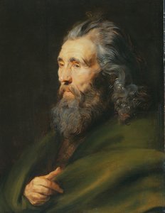 Kopfstudie eines bärtigen Mannes, um 1617 von Peter Paul Rubens