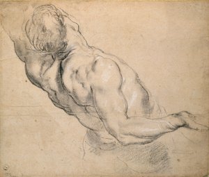 Studie eines nackten männlichen Torsos, 1600-1640