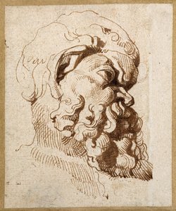 Studie eines antiken Kopfes von Silenus von Peter Paul Rubens