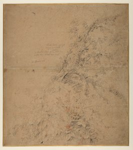 Studie von Schwarzdorn mit Brombeere und anderen Pflanzen