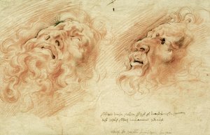 Zwei Studien nach dem Kopf des Laokoon von Peter Paul Rubens
