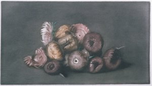 Stillleben mit getrockneten Blumen
