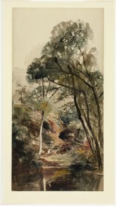 Eine bewaldete Flusslandschaft