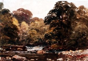 Flusslandschaft