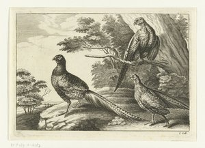Drei Fasane von Peter van Liesebetten