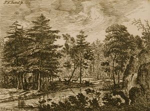 Landschaft