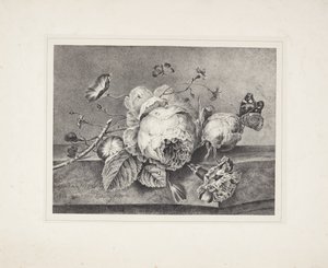 Blumenstillleben von Petronella van Woensel