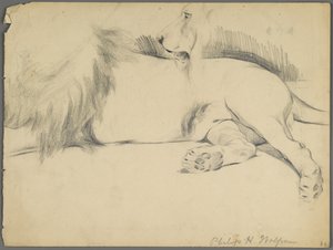 Studien eines Löwen von Philip H. Wolfrom
