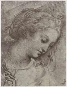 Carlo Dolci, Kopf der Jungfrau