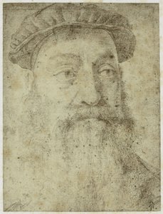 Foto von Bronzinos 