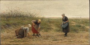 Scheveninger Frauen beim Nachlesen eines abgeernteten Kartoffelfeldes