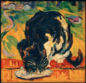 Fressende Katze