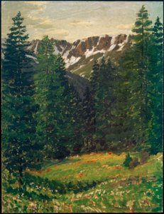 Waldlandschaft