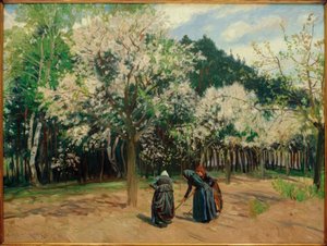 Frühling in Stolpe
