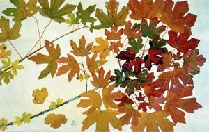 Herbstblätter, von Philippe Robert, Ausgaben Robert Ried