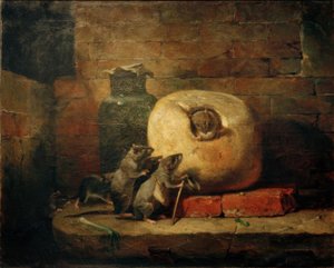 Die Ratte, die sich von der Welt zurückzog