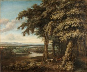 Der Eingang zum Wald