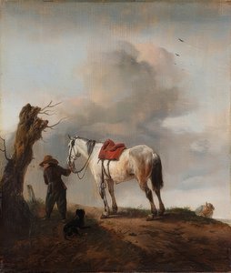Der Schimmel von Philips Wouwerman