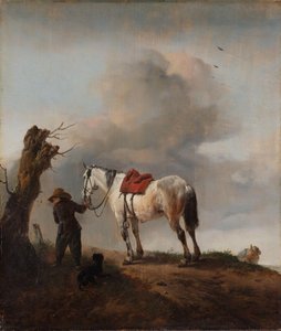 Das graue Pferd